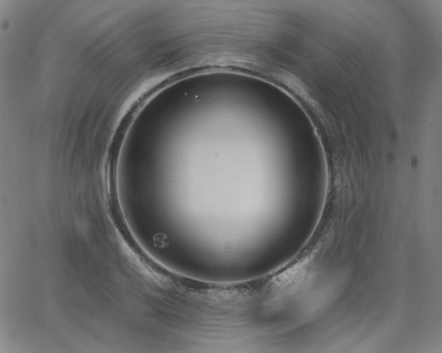 X0000063521032200601201428