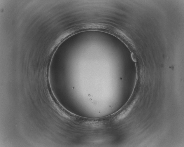 X0000063521033200601201428