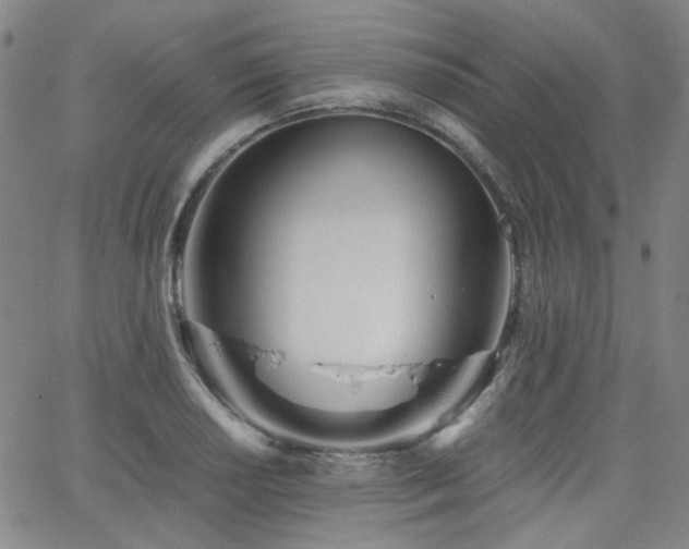 X0000063521034200601201428