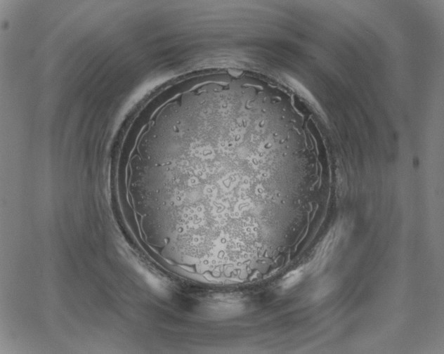 X0000063521035200601201428