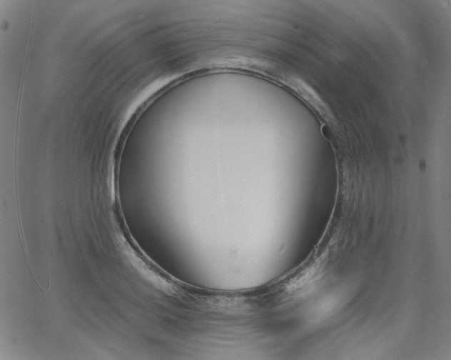 X0000063521036200601201428