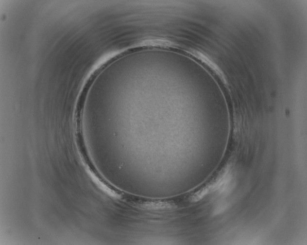 X0000063521037200601201428