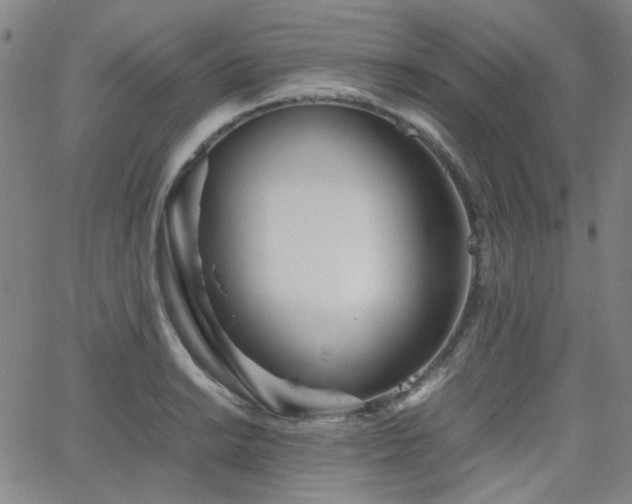 X0000063521038200601201428