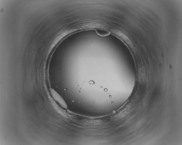 X0000063521039200601201428