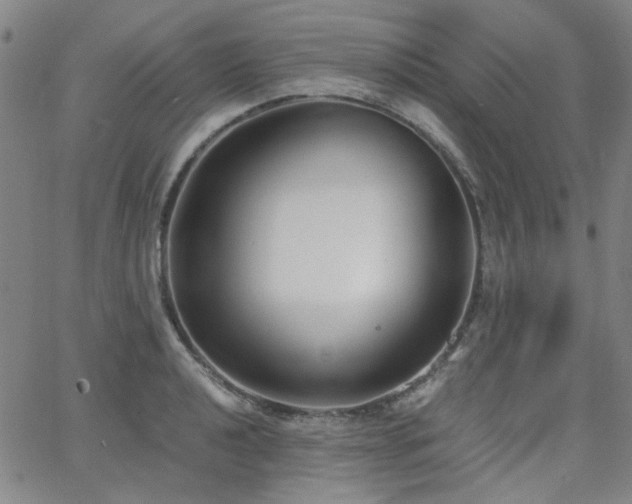 X0000063521040200601201428