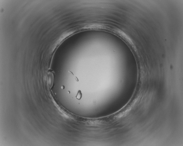 X0000063521041200601201428