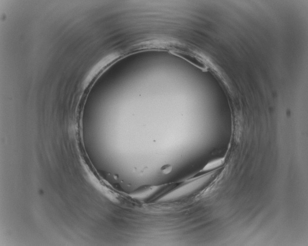 X0000063521042200601201428