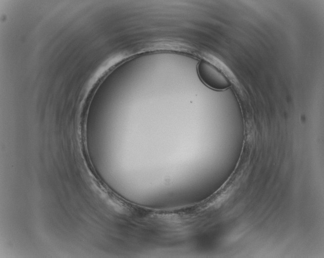 X0000063521043200601201428