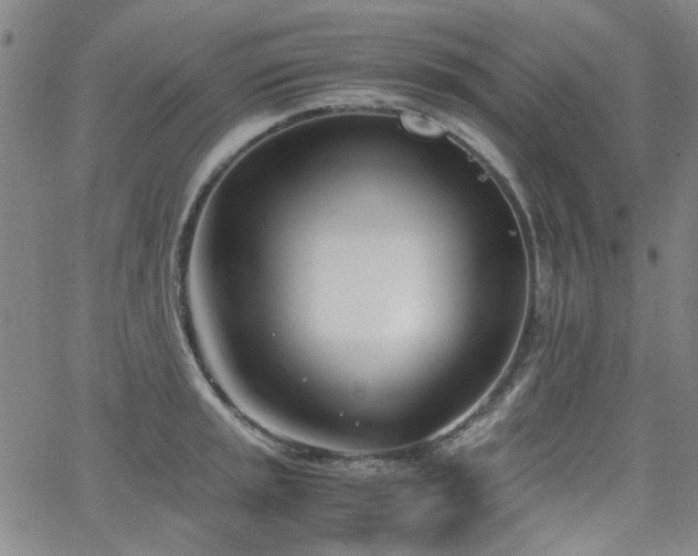 X0000063521045200601201428