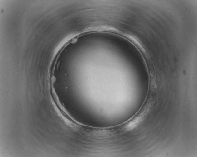 X0000063521046200601201428