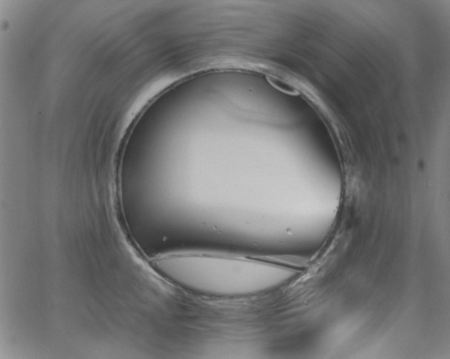 X0000063521048200601201428