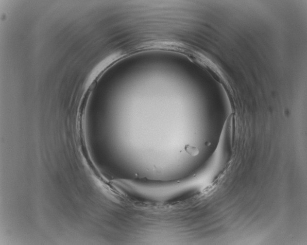 X0000063521050200601201428