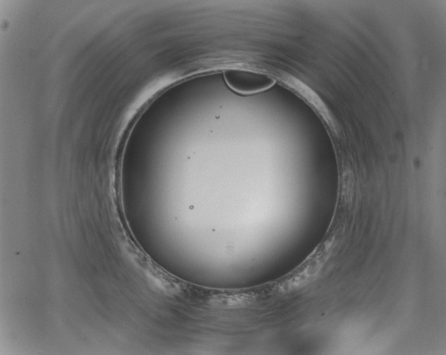 X0000063521051200601201428