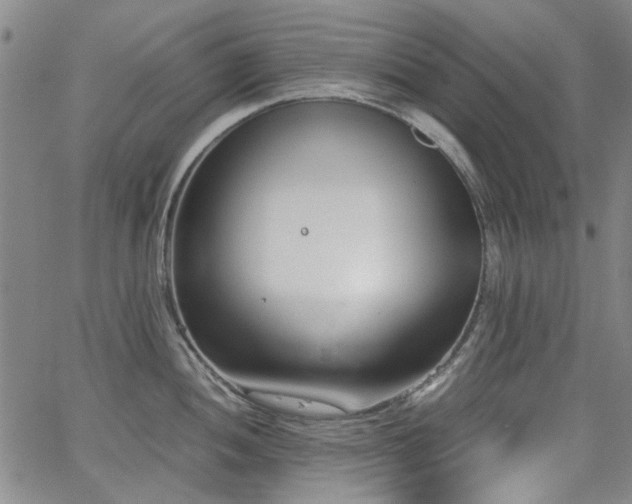 X0000063521052200601201428