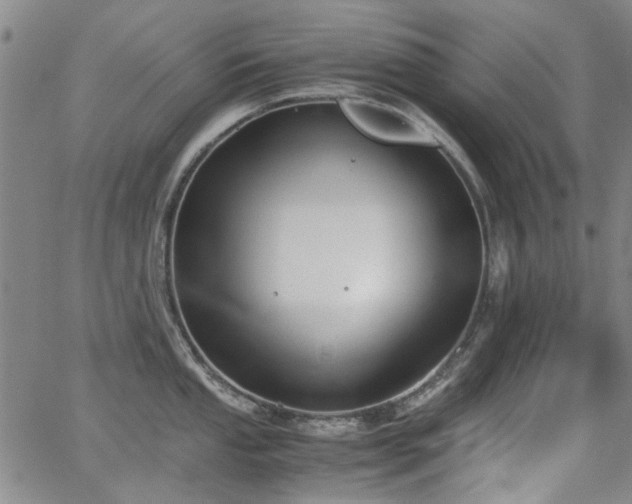 X0000063521053200601201428