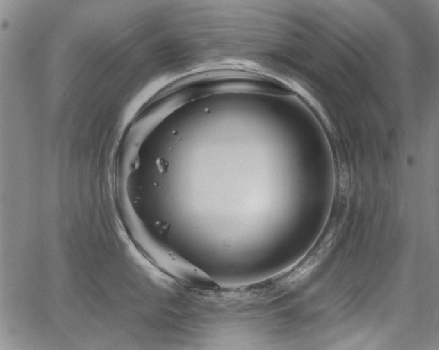 X0000063521054200601201428