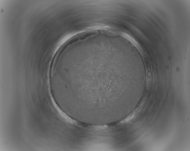 X0000063521055200601201428