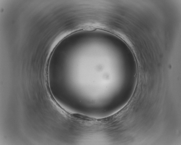 X0000063521056200601201428