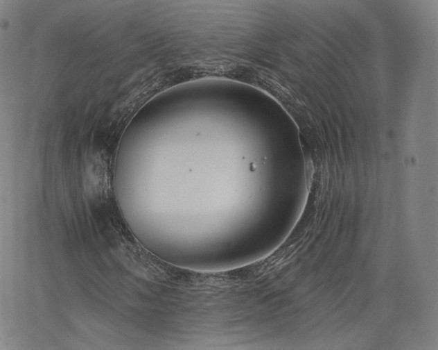 X0000063521058200601201427