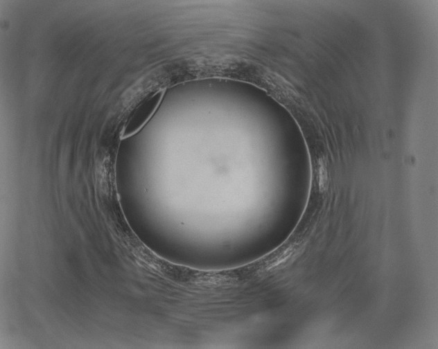 X0000063521059200601201427