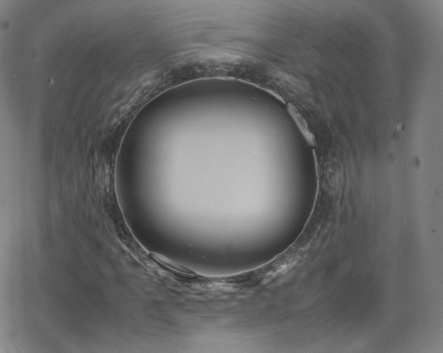 X0000063521061200601201427