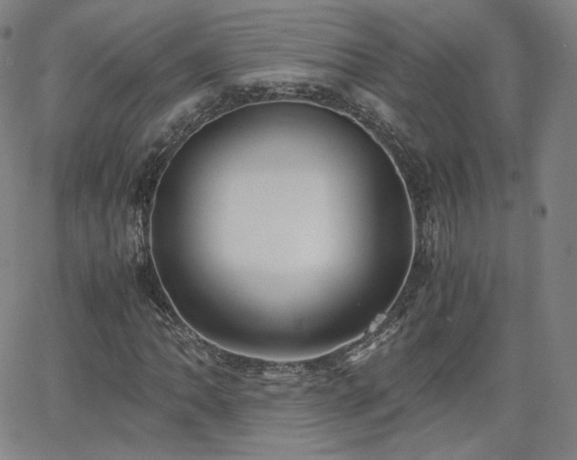 X0000063521062200601201427