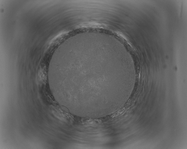 X0000063521063200601201427