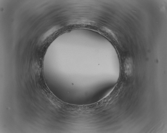 X0000063521064200601201427