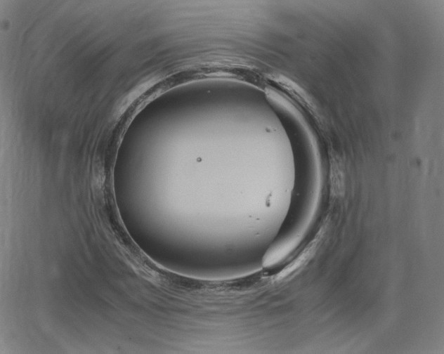 X0000063521065200601201427