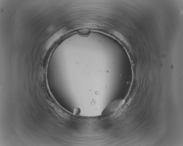 X0000063521067200601201427