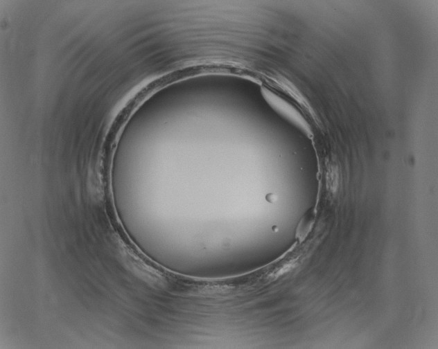 X0000063521068200601201427