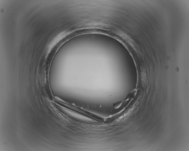 X0000063521069200601201427