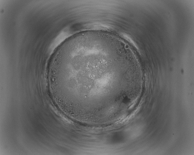 X0000063521071200601201427