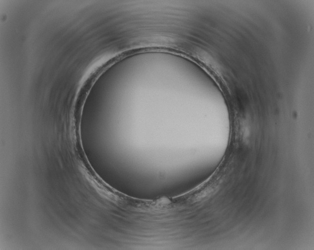 X0000063521072200601201427