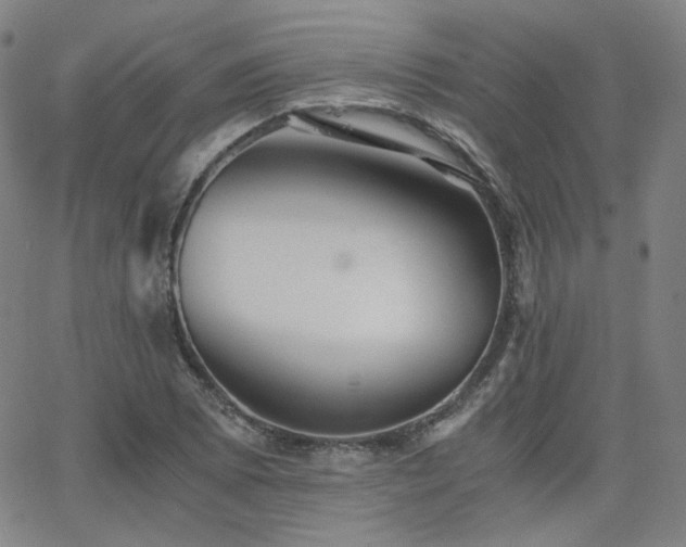 X0000063521073200601201427