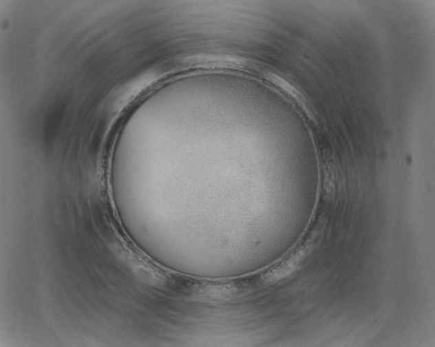 X0000063521074200601201427