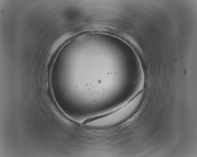 X0000063521075200601201427