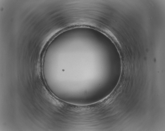 X0000063521076200601201427