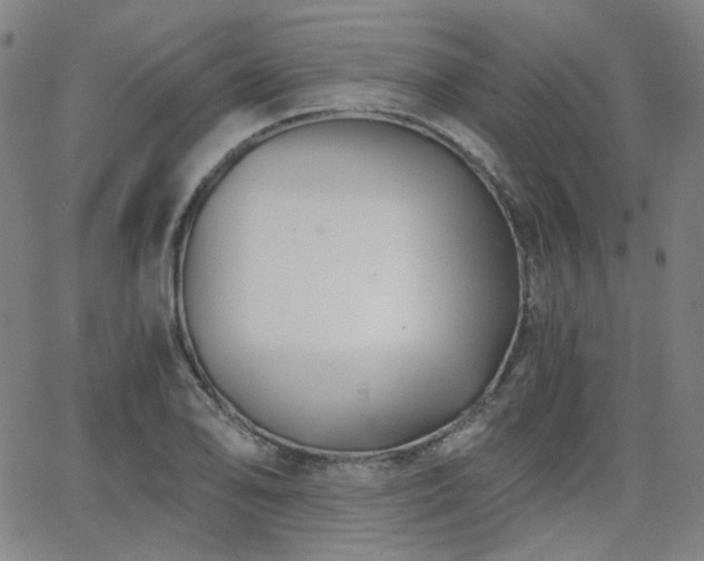 X0000063521078200601201427