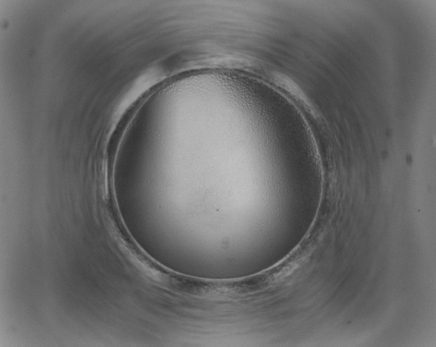 X0000063521079200601201427