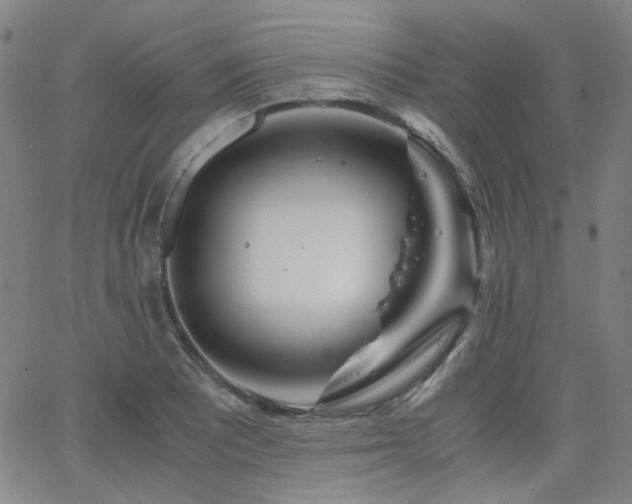 X0000063521081200601201427