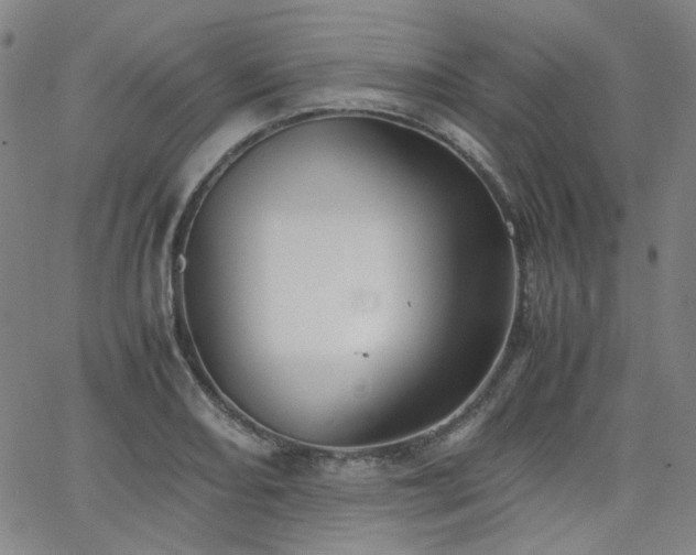 X0000063521082200601201427