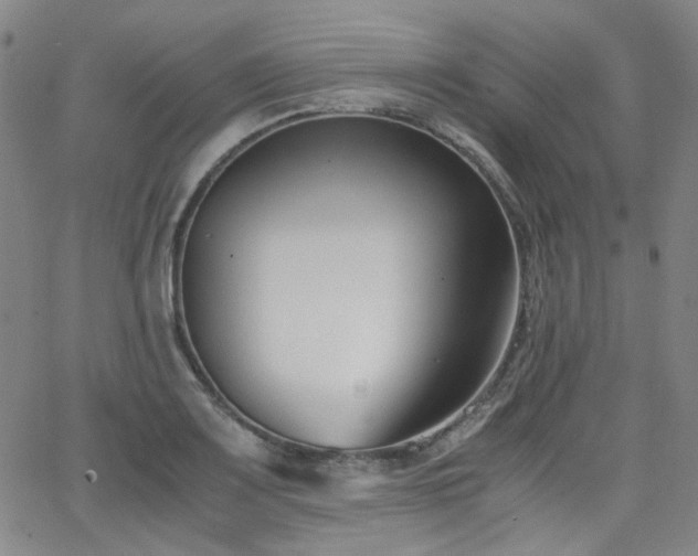 X0000063521083200601201427