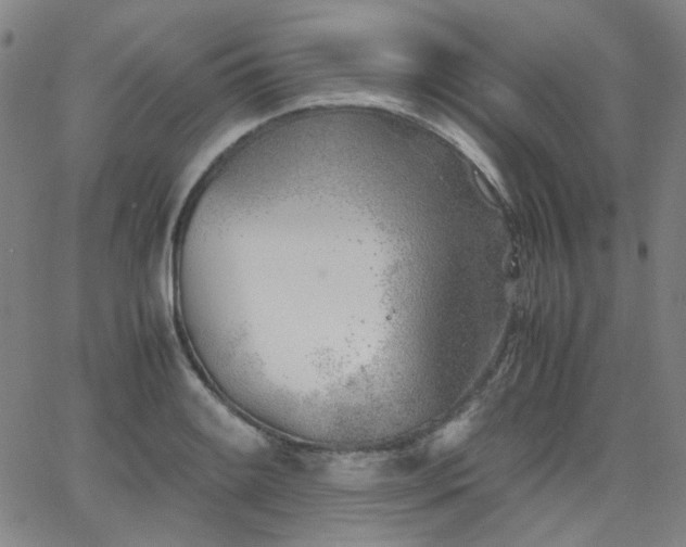 X0000063521084200601201427