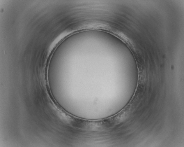 X0000063521086200601201427