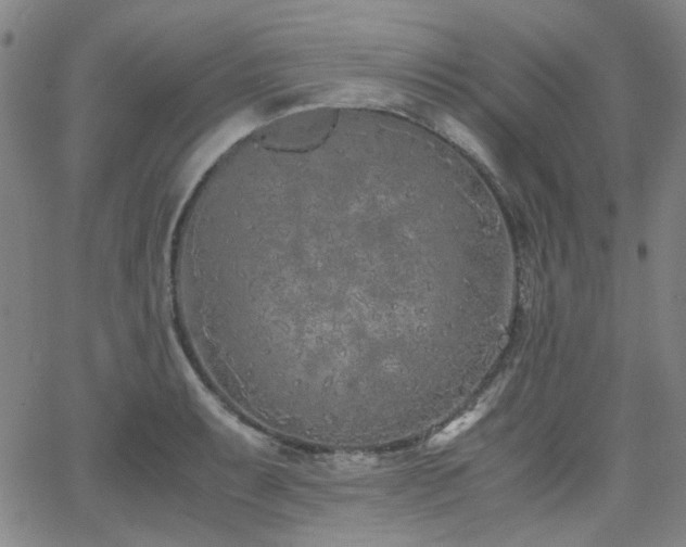 X0000063521087200601201427