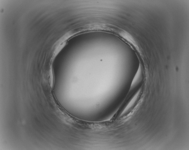 X0000063521089200601201427