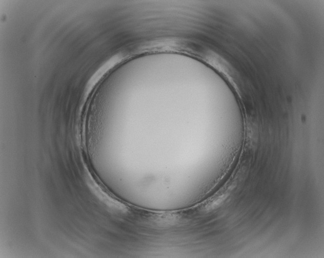 X0000063521090200601201427