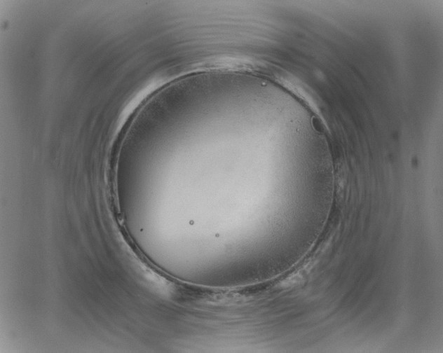 X0000063521091200601201427