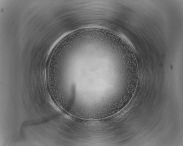 X0000063521092200601201427